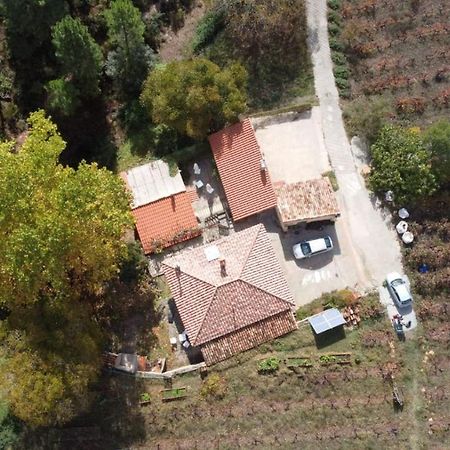 La Limonera Guest House Riopar Exterior photo
